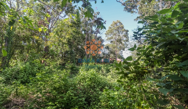 Land for Sale in Siem Reap-Sala Kamreuk