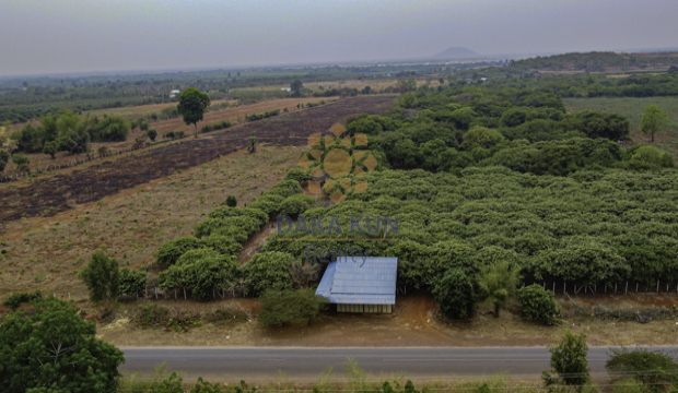 Land for Sale in Siem Reap-Banteay Srey