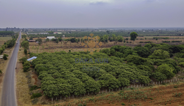 Land for Sale in Siem Reap-Banteay Srey