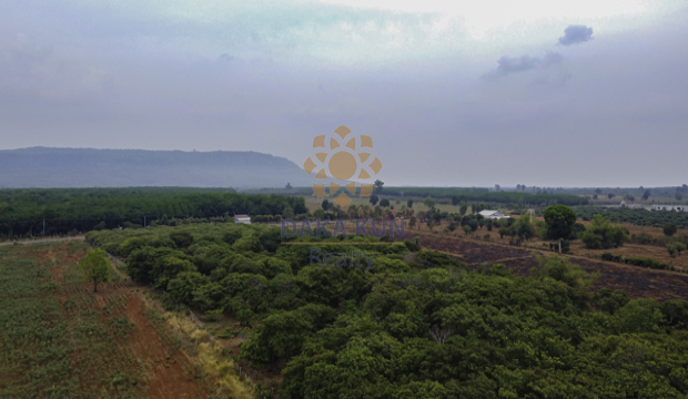 Land for Sale in Siem Reap-Banteay Srey