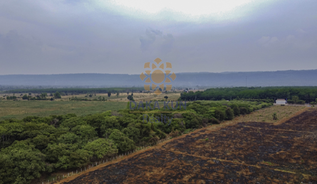 Land for Sale in Siem Reap-Banteay Srey