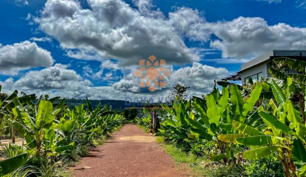 Homestay for Sale in Bonteay Srei-Siem Reap