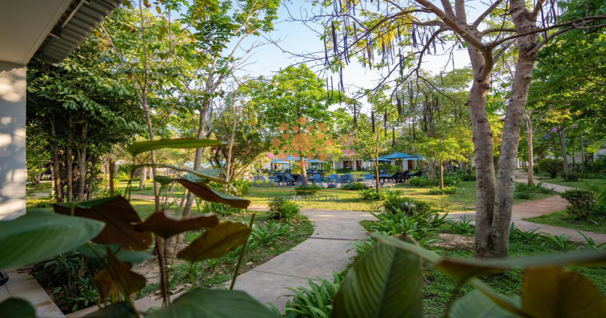Boutique for Sale in Siem Reap City-Svay Dangkum