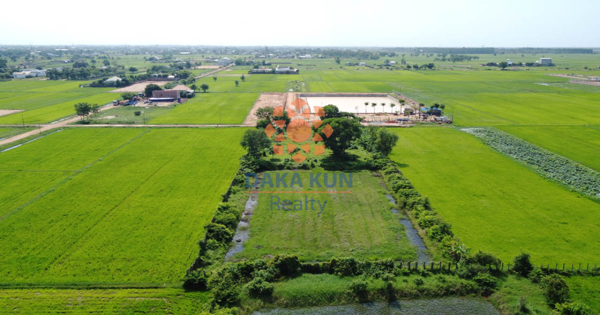 Land for Sale in Siem Reap City, near Tavern