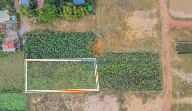 Land for Sale in Krong Siem Reap-Svay Dangkum