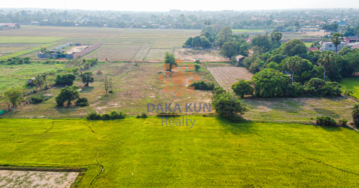 Land for Sale in Siem Reap-Chreav