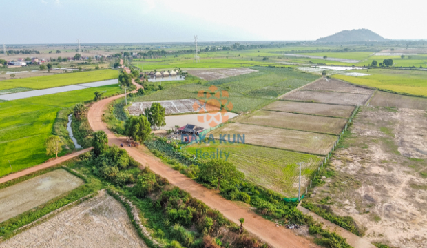 Land for Sale in Krong Siem Reap