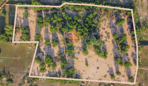 Land sale in Siem Reap - Svay Dangkum