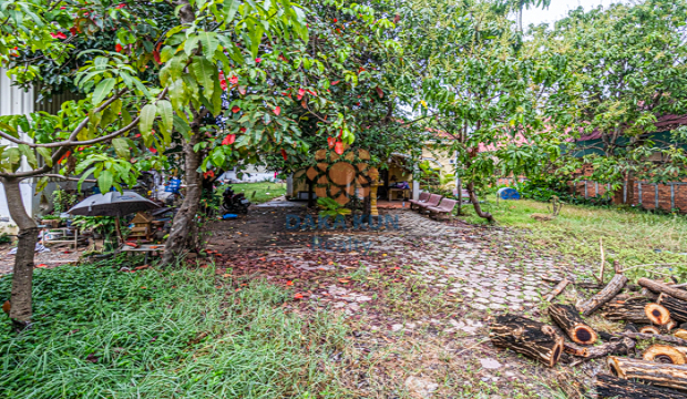 Land for Sale in Krong Siem Reap-Svay Dangkum