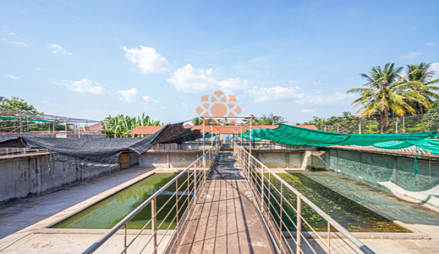 Land for Rent in Krong Siem Reap-near Riverside