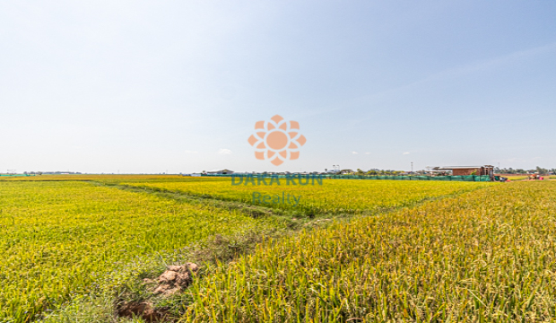 Land for Sale in Krong Siem Reap-Chreav