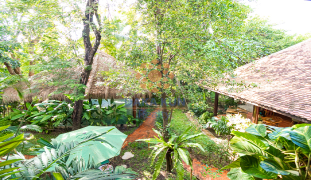 10 rooms Boutique for Rent in Krong Siem Reap-Svay Dangkum