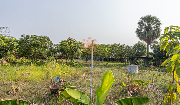 Land for Rent in Siem Reap - Sangkat Svay Dangkum