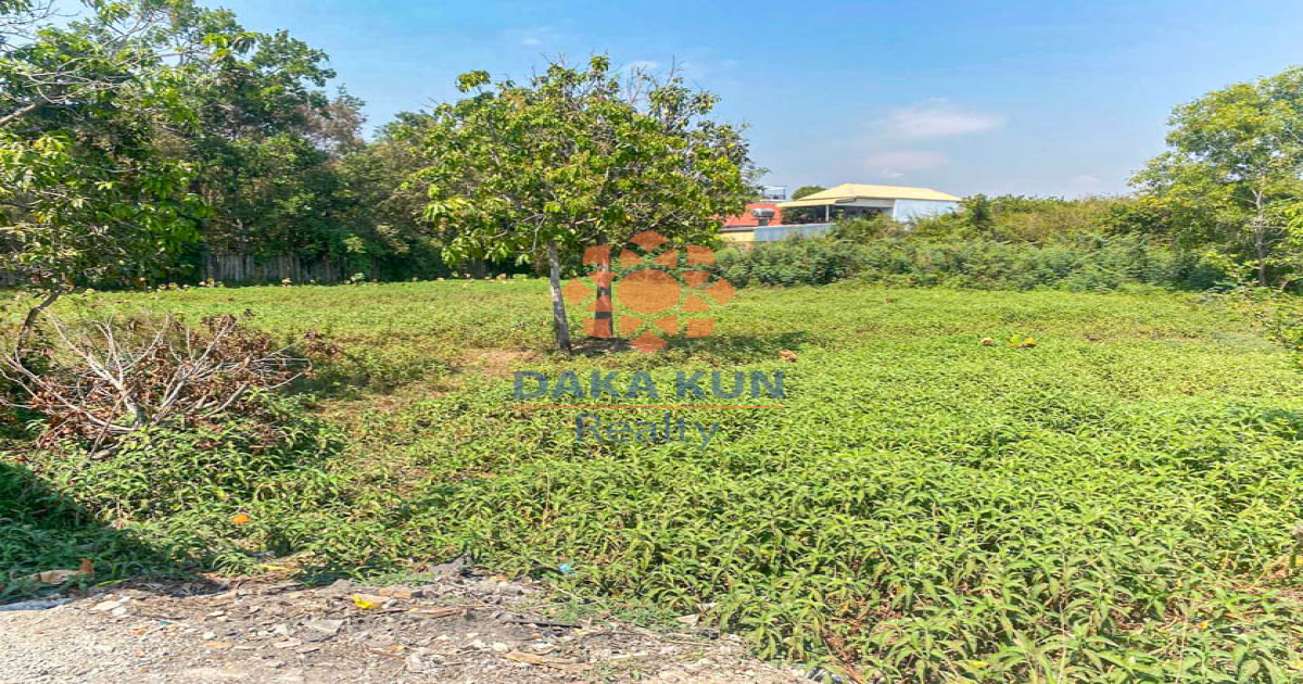 Urgent Land for Sale in Siem Reap City-Sala Kmareuk