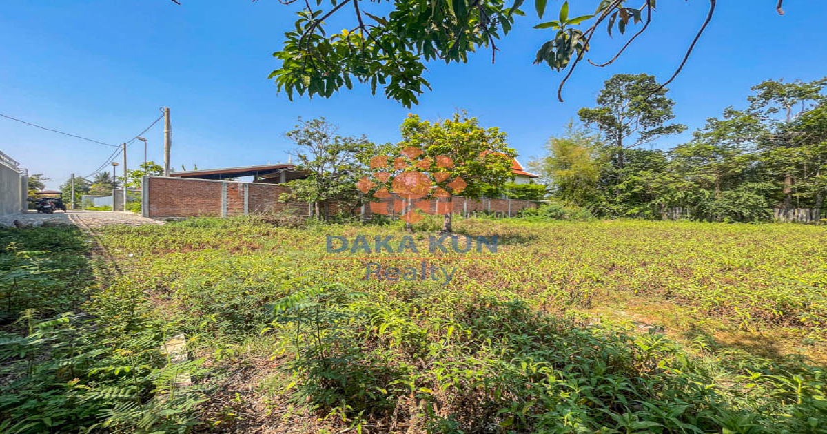 Urgent Land for Sale in Siem Reap City-Sala Kmareuk