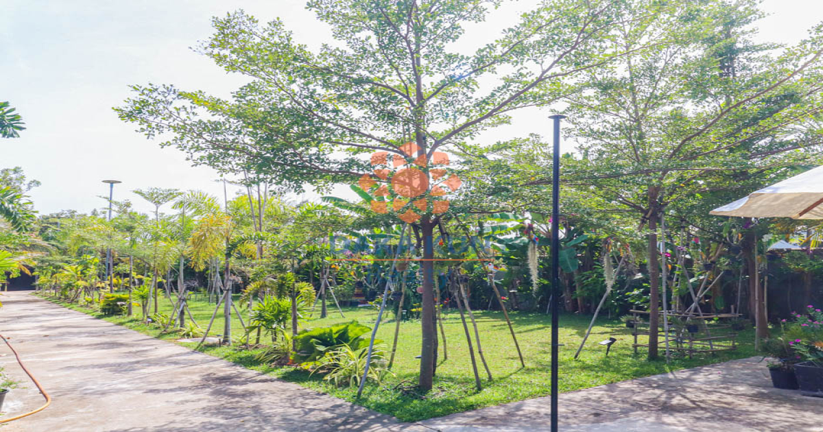 2 Bedrooms Apartment for Rent in Siem Reap City, Svay Dangkum