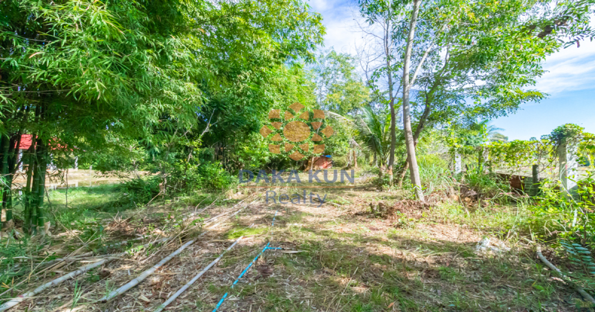 Land For Sale in Svay Dangkum-Siem Reap city
