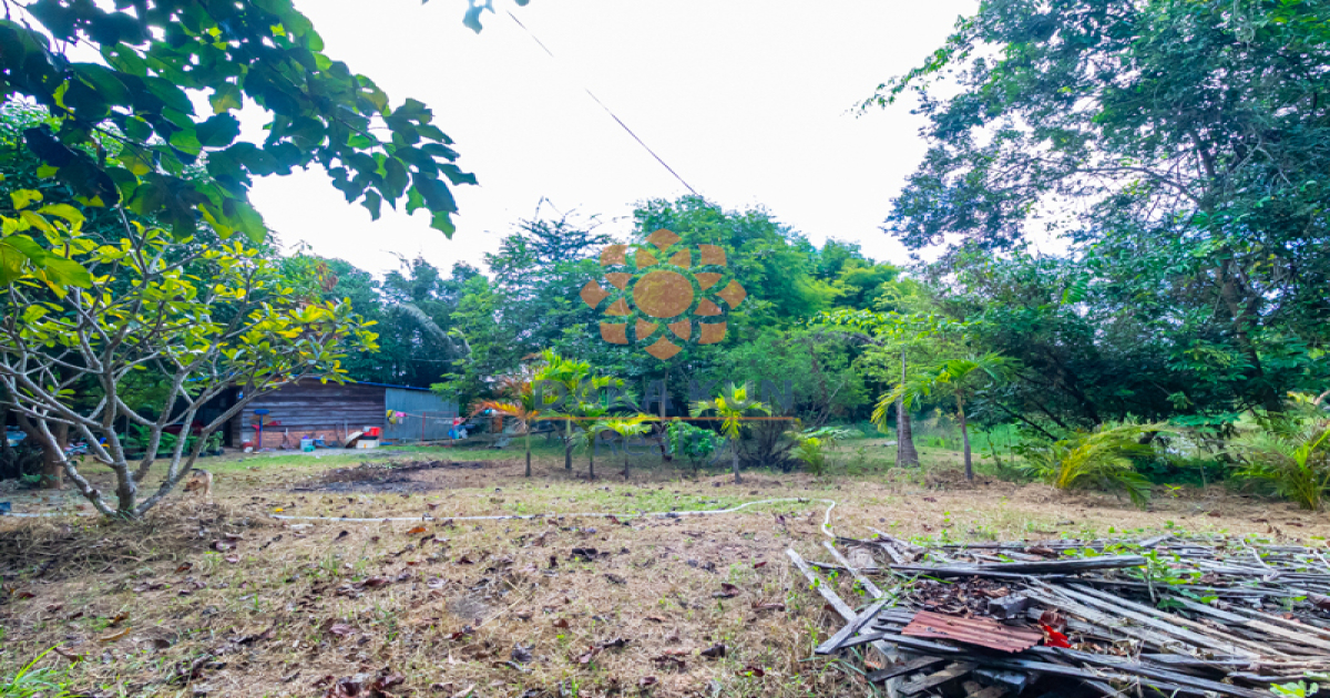 Land For Sale in Svay Dangkum-Siem Reap city