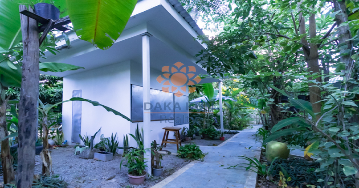 Commercial Building For Rent In Siem Reap City-Sala Kamreuk