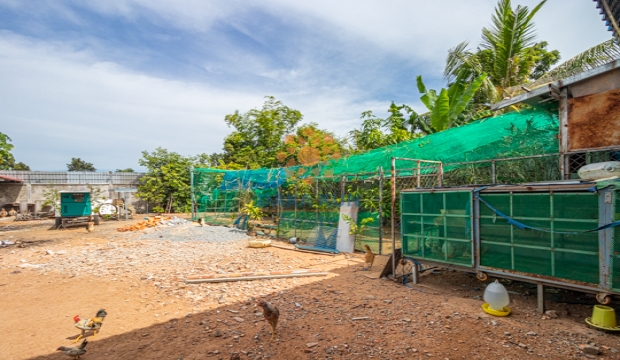 Land for Sale in Siem Reap-Takong