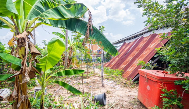 Land for Sale in Krong Siem Reap