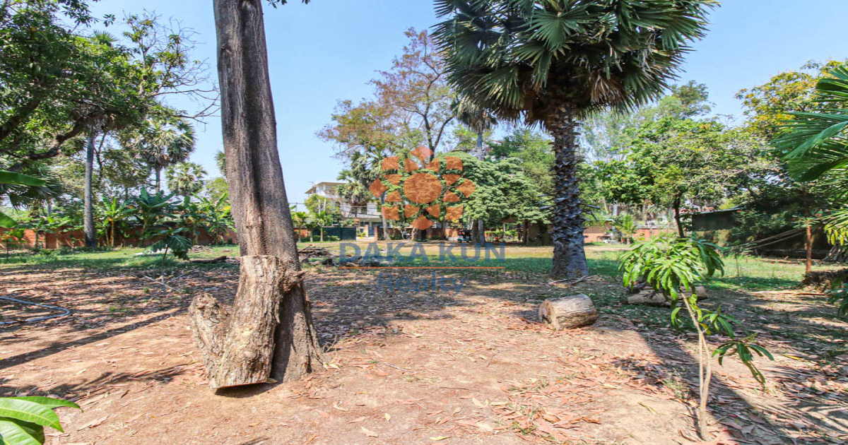 Land for Sale in Siem Reap City, Svay Dangkum