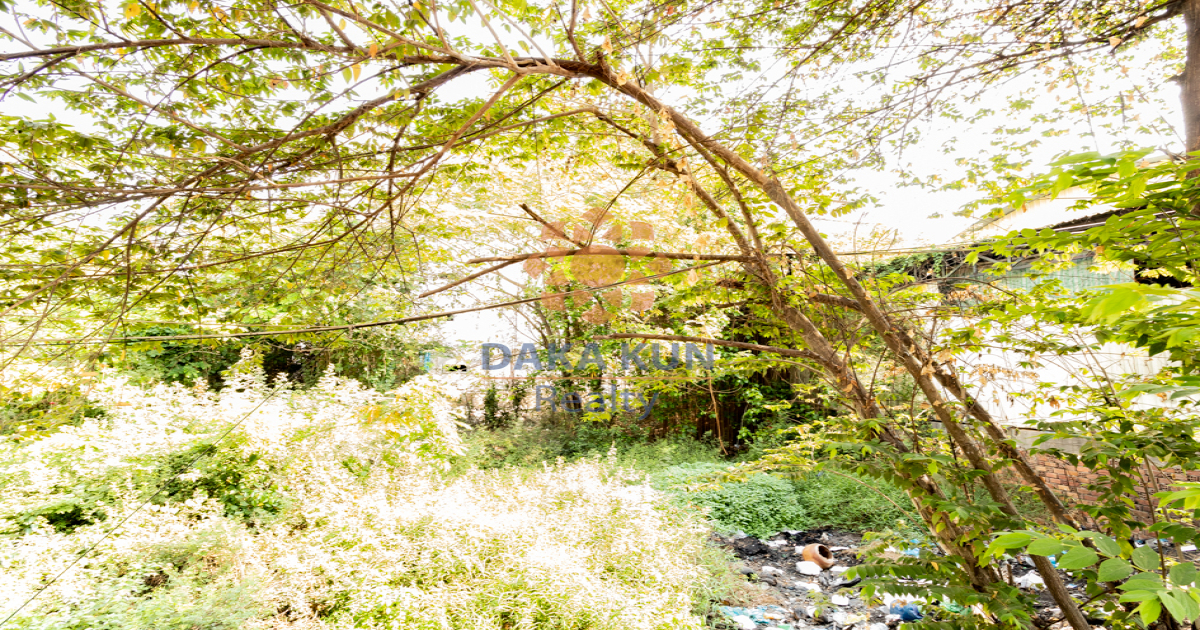 Land for Sale in ​Krong Siem Reap - Sangkat Chreav