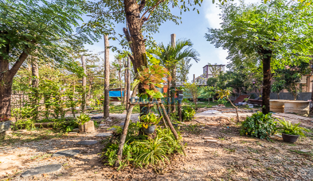 Land for Sale in Krong Siem Reap