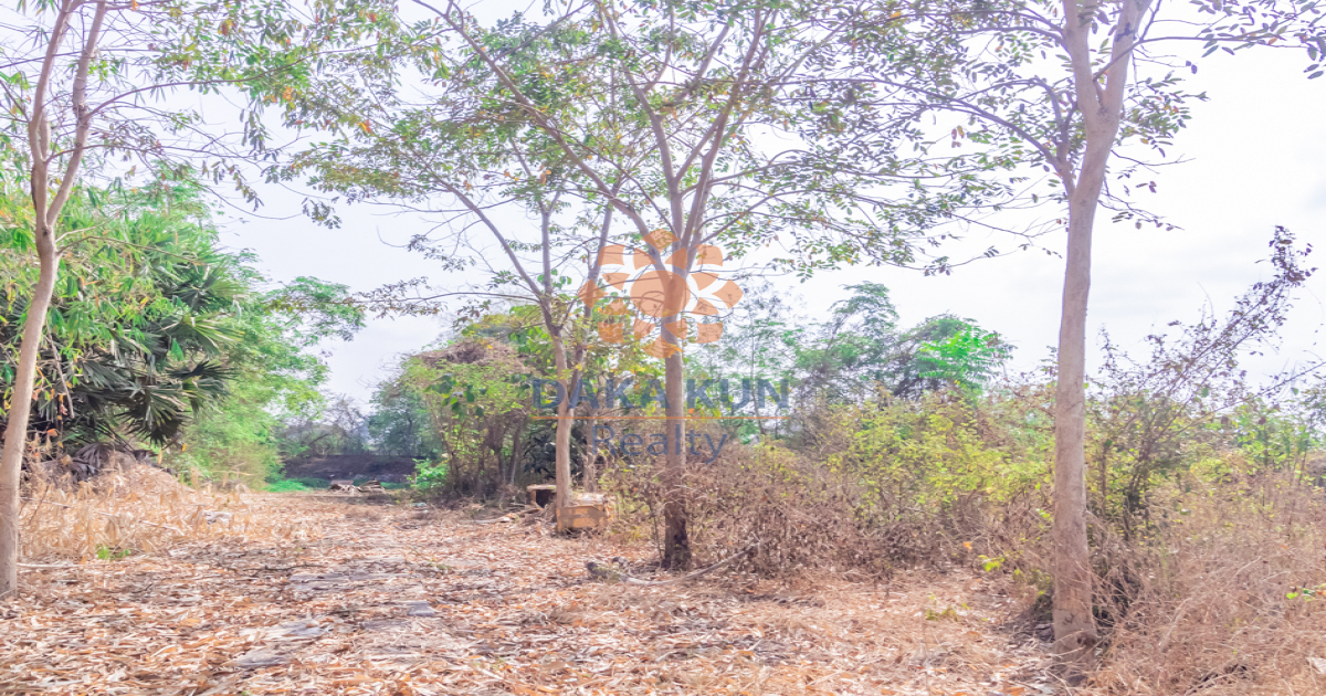 Land for Sale in Krong Siem Reap-Siem Reap