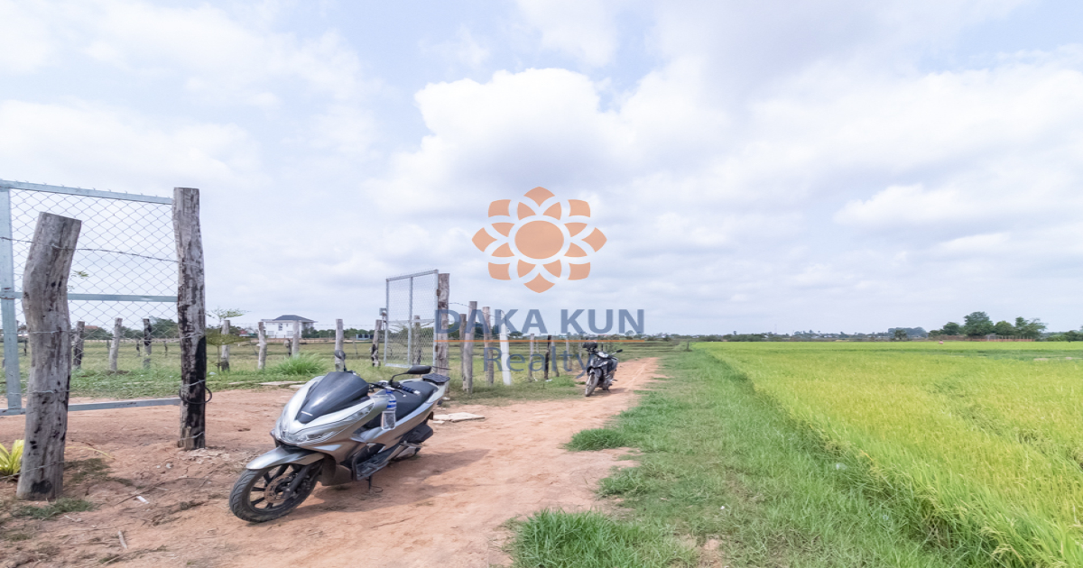 Land For Sale In Siem Reap City