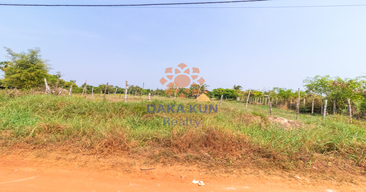 Land For Sale In Siem Reap City-Chreav