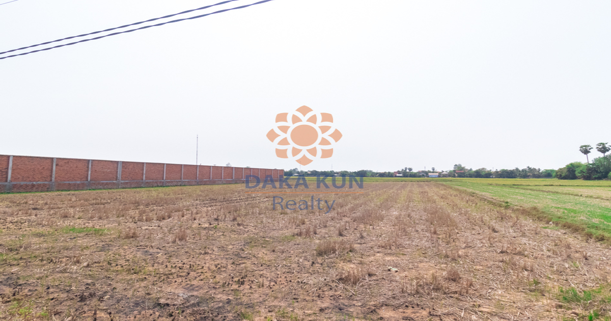 urgent !! Land For Sale in Siem Reap City- Chreav