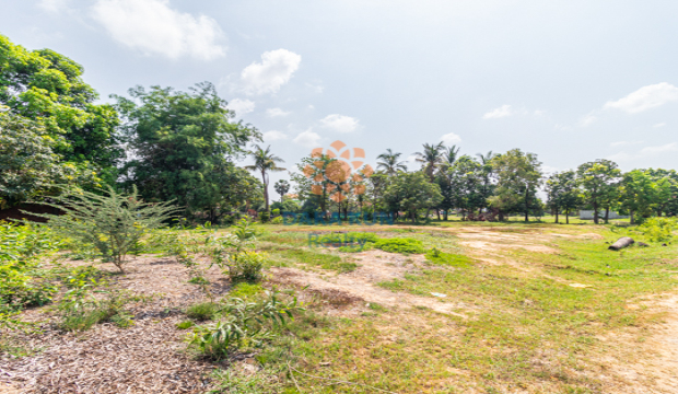 Land for Sale in Krong Siem Reap-Chreav