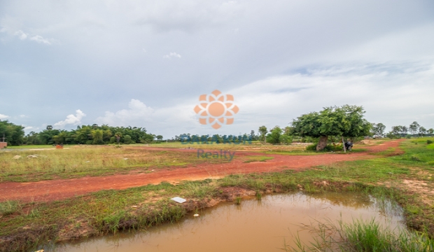 Land for Sale in Siem Reap-Sambuor