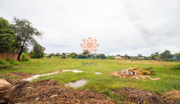 Land for Sale in Siem Reap-Treak