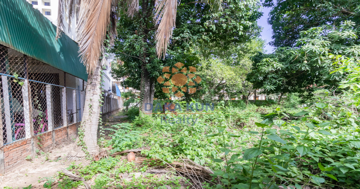 Land for Sale in Siem Reap City-Srangae