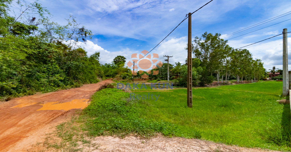 Land for Sale in Siem Reap City-Sambuor