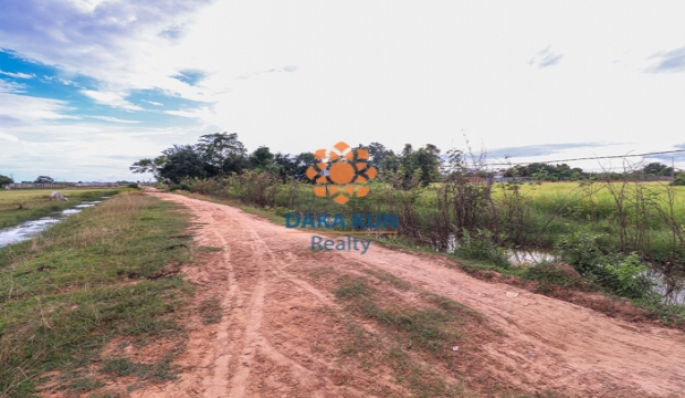 Urgent Sale Land in Chreav-Siem Reap