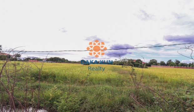 Urgent Sale Land in Chreav-Siem Reap