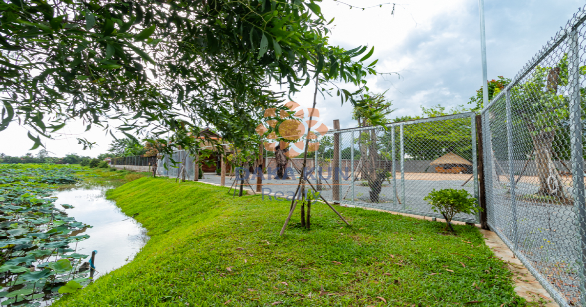 Land for Sale in Siem Reap City-Chreav