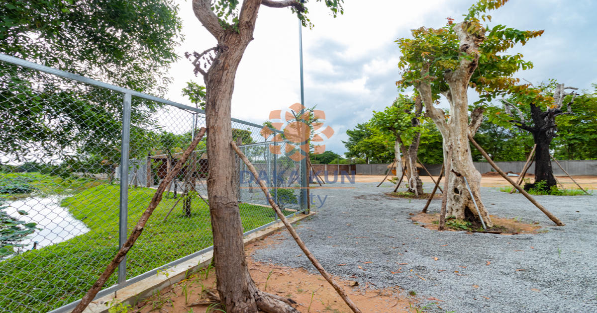 Land for Sale in Siem Reap City-Chreav