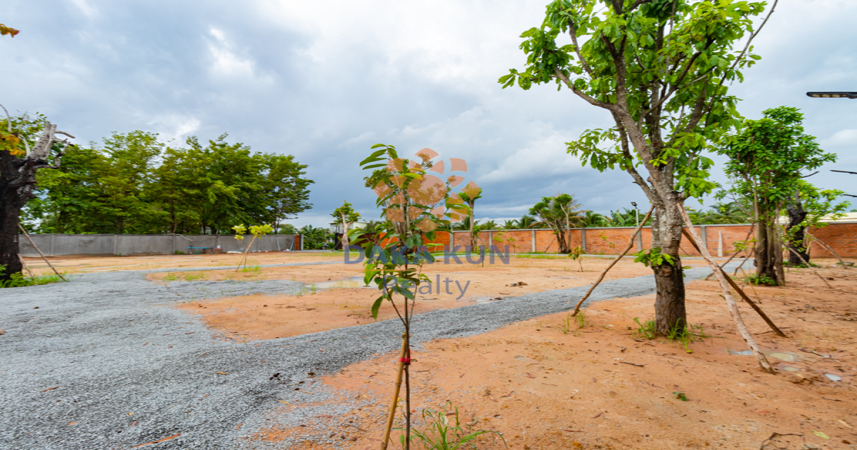 Land for Sale in Siem Reap City-Chreav
