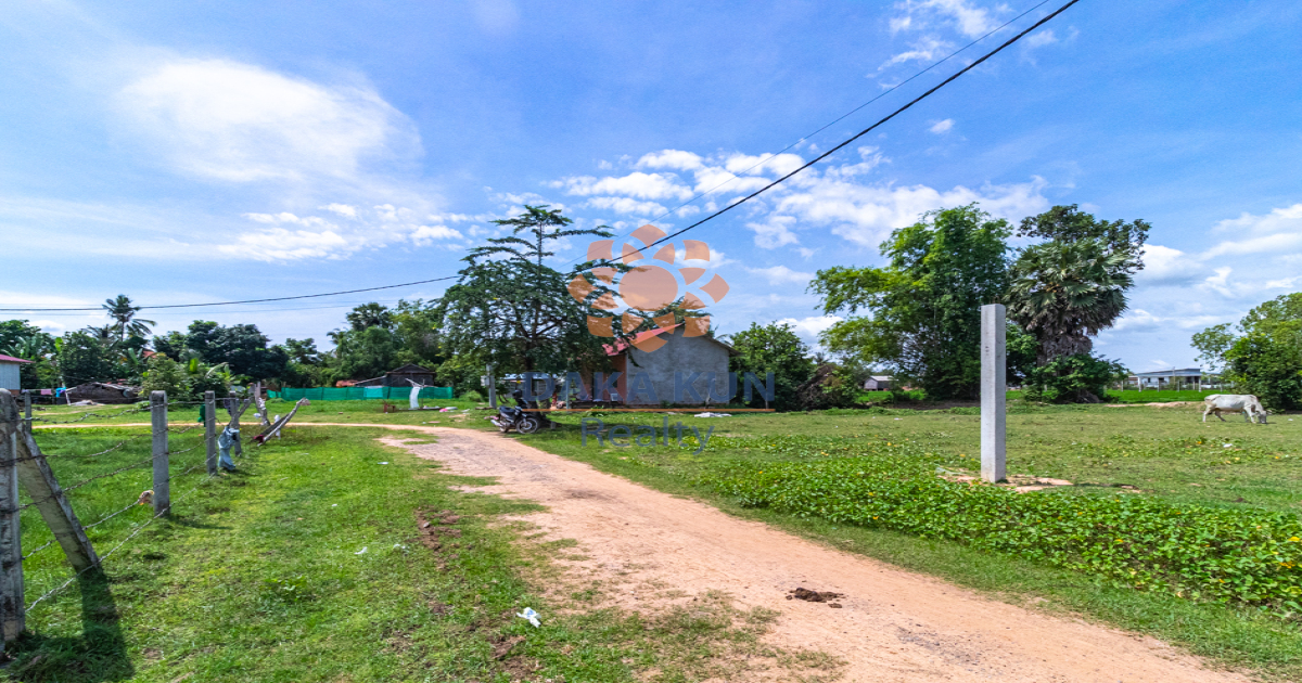 Urgent Land for Sale in Siem Reap City-Srangae