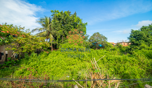 Land for Rent in Krong Siem Reap-Svay Dangkum
