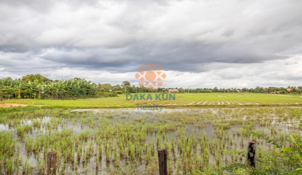 Land for Sale in Siem Reap-Puok