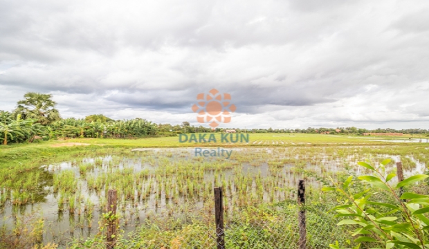 Land for Sale in Siem Reap-Puok