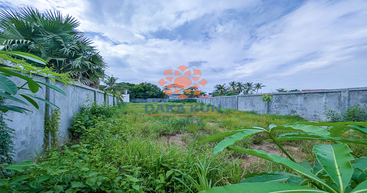 Land for Sale in Siem Reap City, near Phare Circus