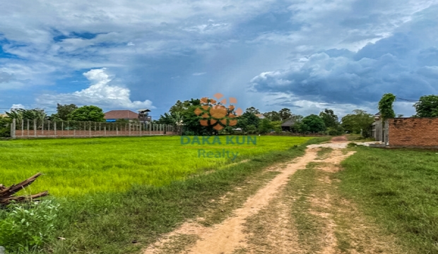 Urgent Sale Land in Chreav, Siem Reap city