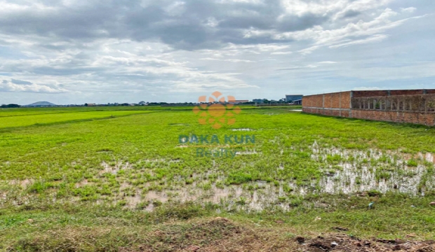 Land for Sale in Siem Reap-Chreav