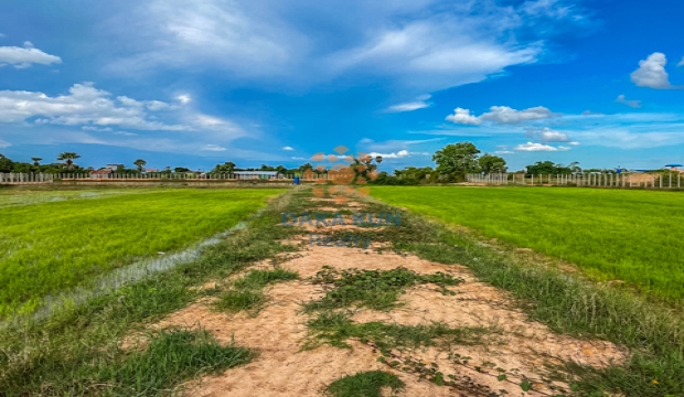 Land for Sale in Siem Reap-Kandaek
